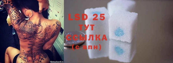 дживик Горняк