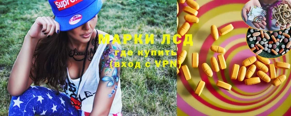 дживик Горняк