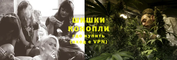 дживик Горняк